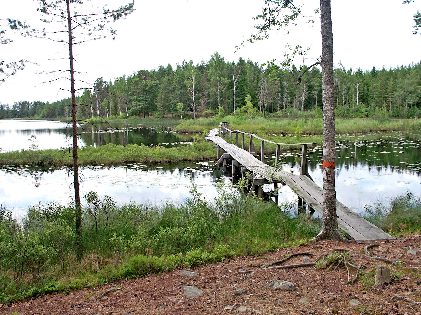 Gruvdammsrundan, spänger vi Järndammstugan